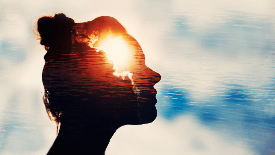 Mindfulness Skills for Successful Professionals and Managers