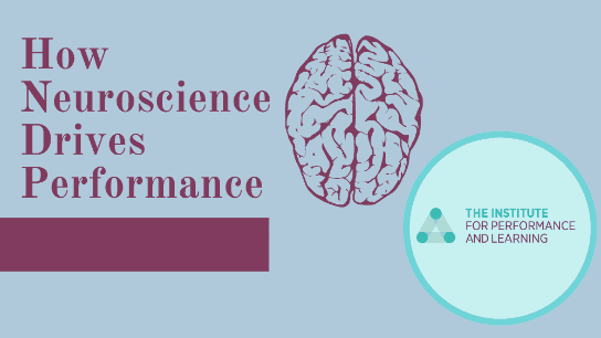 How Neuroscience Drives Performance