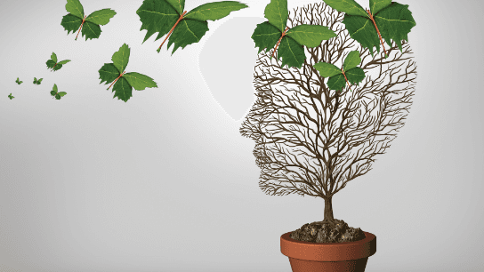 Unpacking Racial Trauma: Liberation Psychology